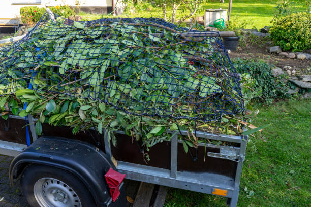 Best Construction Debris Removal  in Carbondale, CO
